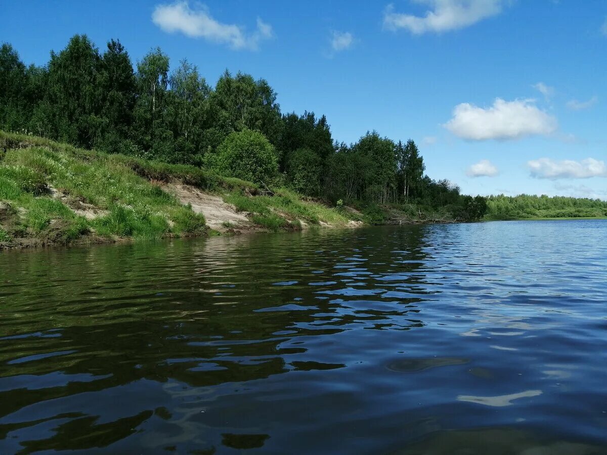 Река унжа фото Сплав р.Унжа (г.Макарьев - с.Нежитино) 2019 г. nature_fishing_travel Дзен