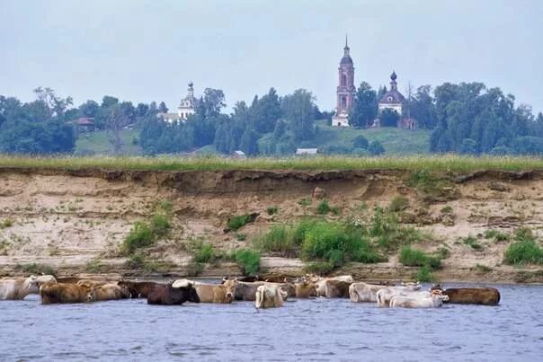 Река унжа фото Потаённая меря. Унжа-река: мерянско-марийское пограничье Центр Льва Гумилёва