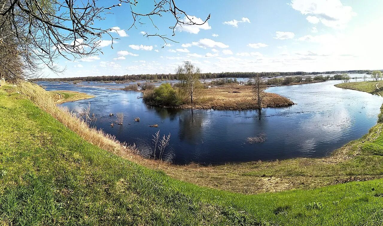 Река уводь фото Файл:Уводь Малые Всегодичи половодье.jpg - Википедия