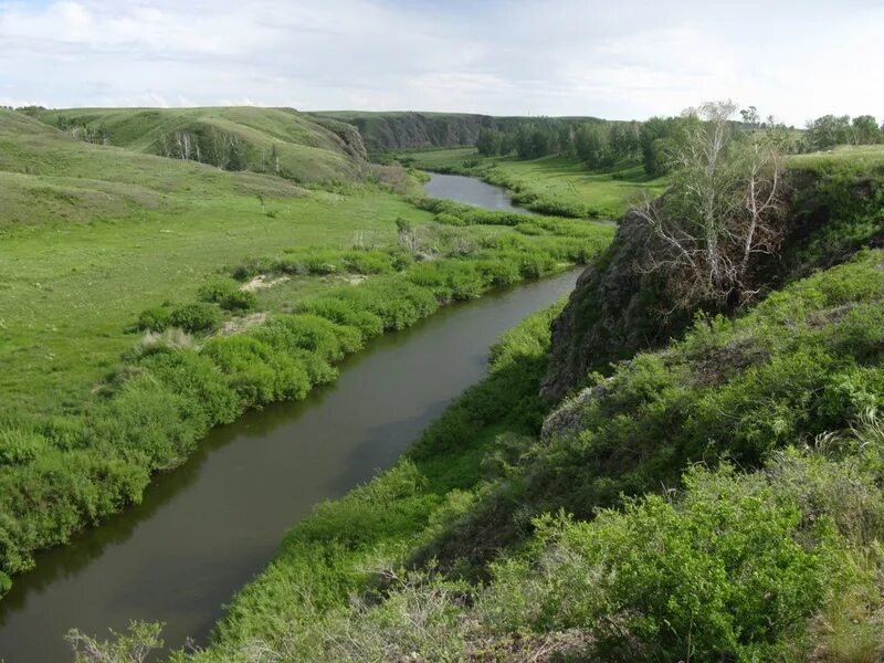 Река уй фото Зарисовки геолога - Троицкий лист и река Уй (2 из 2) - DRIVE2