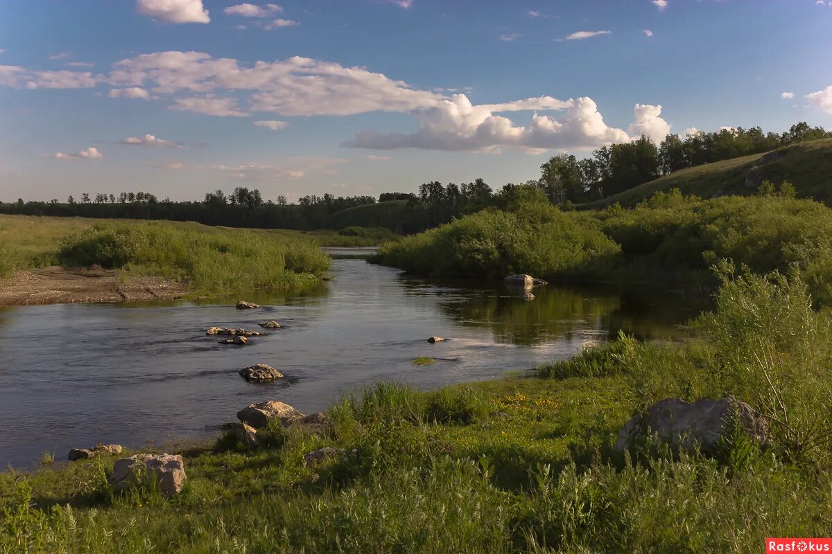 Река уй фото Фото: р.Уй,по камушкам.. Марина Кубрак.. Пейзаж. Фотосайт Расфокус.ру