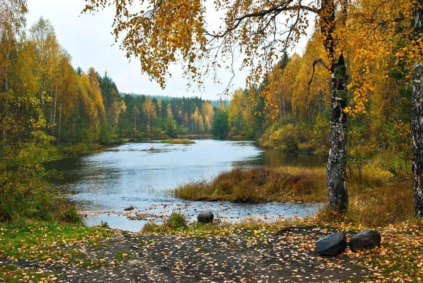 Река в лесу осенью фото Конкурс "О земле мне близкой и любимой" 2021, Белохолуницкий район - дата и мест