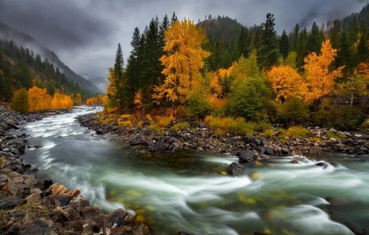 Река в лесу осенью фото Скачать обои по теме пейзажи River, Rivers in california, Beautiful landscapes