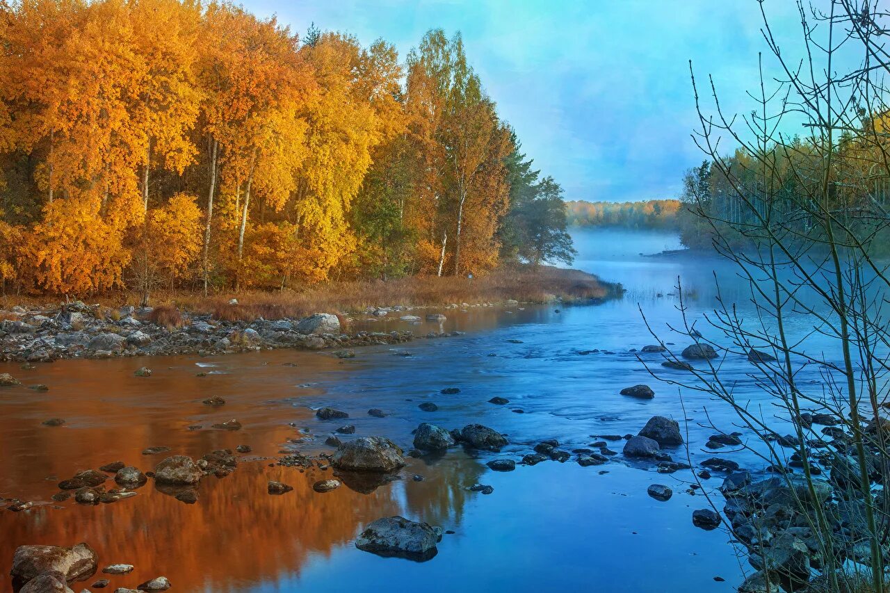 Река в лесу осенью фото Фото осенние Природа лес Пейзаж Реки Камень дерево