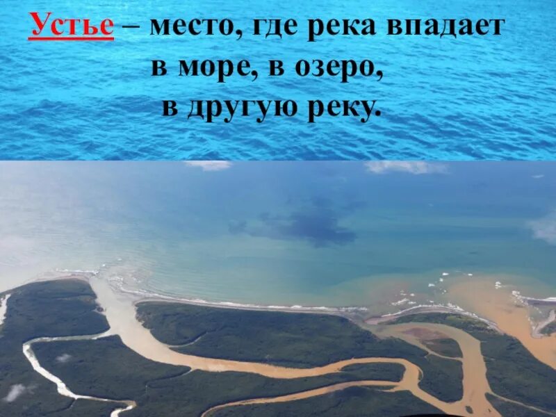 Река впадает в море фото Как называется впадение реки в море