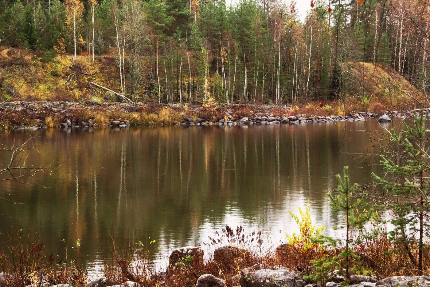 Карельский перешеек реки