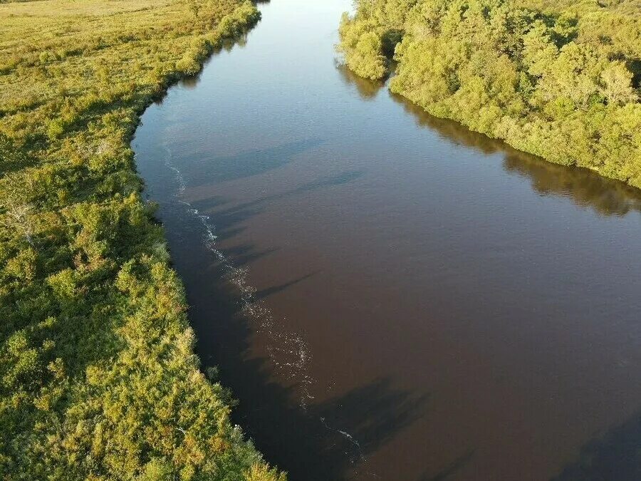 Реки амурской области фото В Амурской области на реке Архаре при странных обстоятельствах пропал мужчина ▸ 