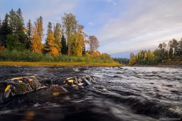 Реки архангельской области фото The Solza River in autumn. The Arkhangelsk area. © ilya_mix. Самые красивые реки