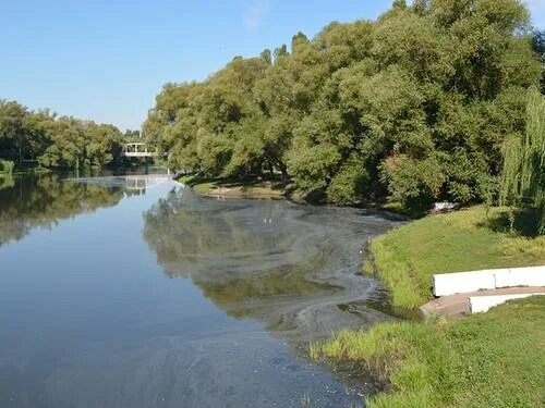 Реки белгорода фото Белгородские известия", № 138. БелПресса