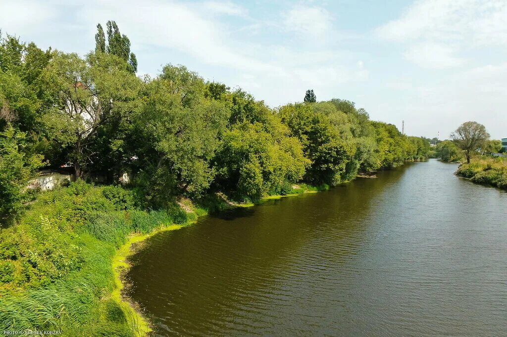 Реки белгородской области фото Прогулки по Бел Городу. Река Везеница, Везелица, Везёлка Пушкинский клуб Белгоро