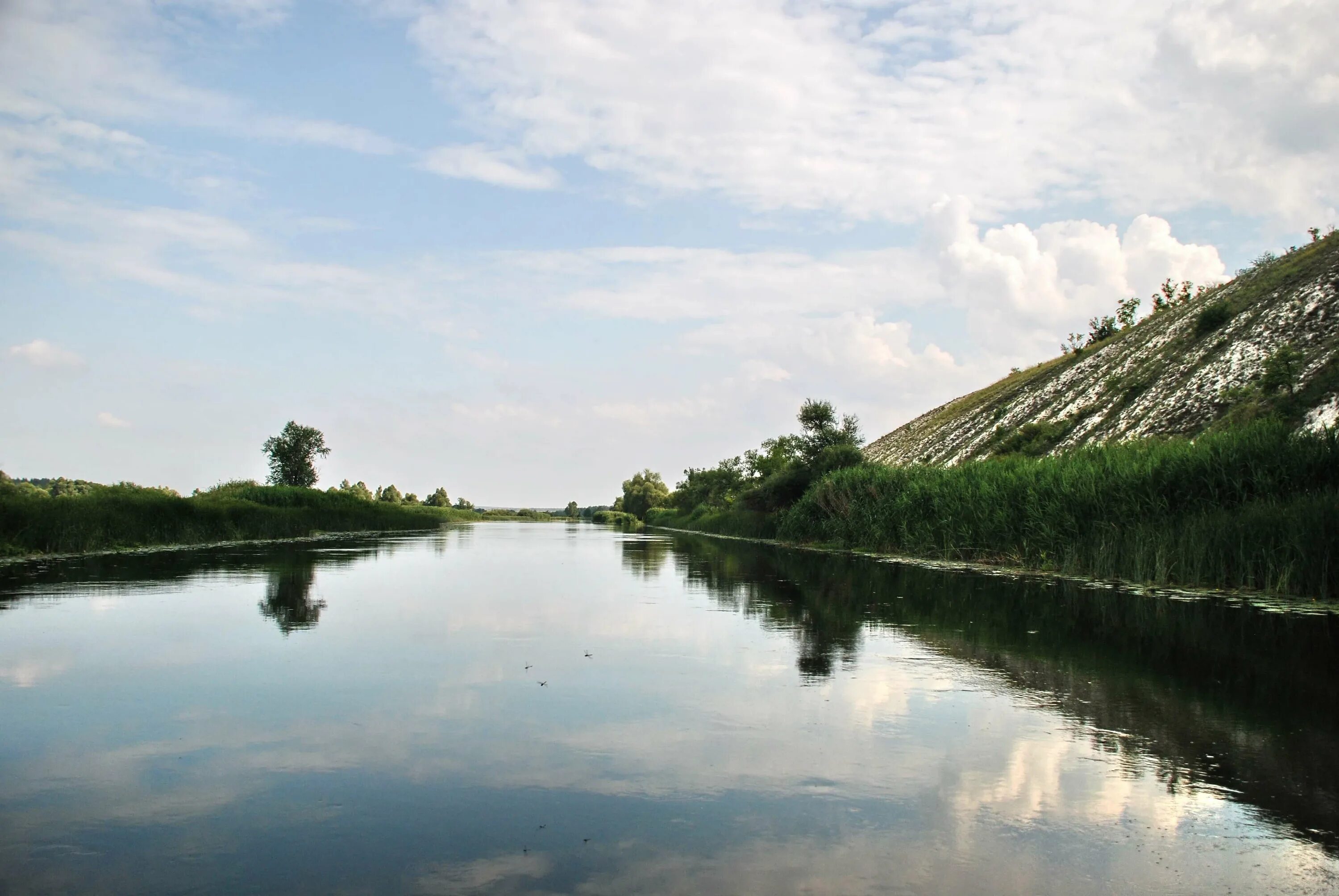 Реки белгородской области фото The Oskol River in June 2011 Topoli - Kupyansk