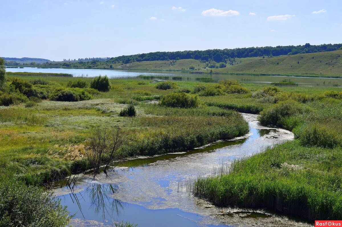 Реки белгородской области фото Фото: Белгородская обл. река Разумная. Бабанаков Александр. Пейзаж. Фотосайт Рас