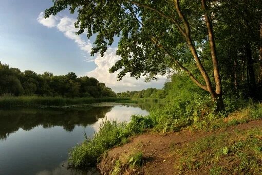 Реки белгородской области фото Белгородские реки: найдено 90 изображений