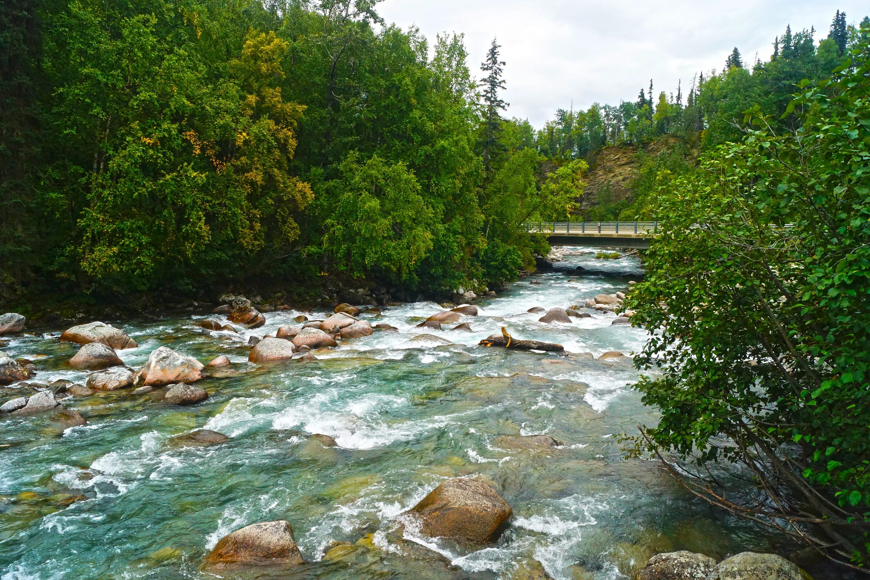 Реки фото видео Free Images : forest, creek, wilderness, hiking, river, valley, stream, scenic, 