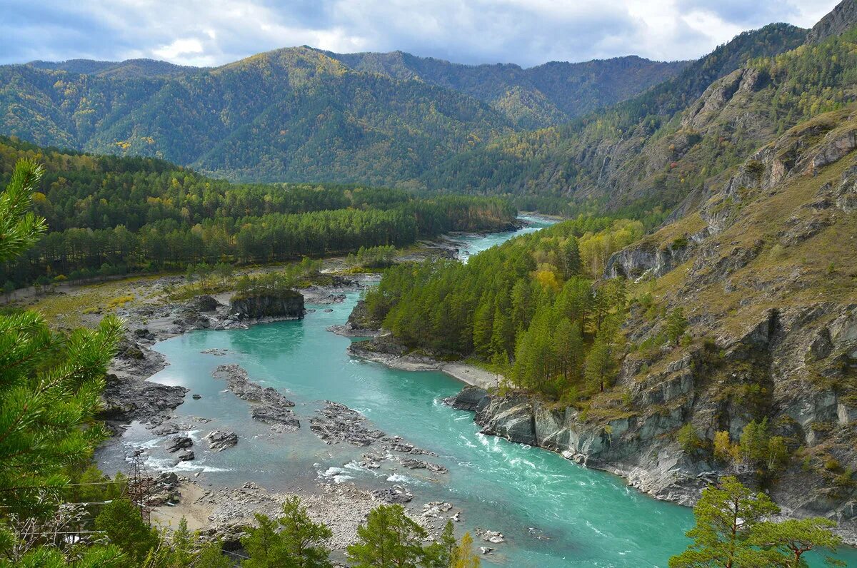 Реки горного алтая фото Отдых в Чемале Едем-в-Гости.ru - бронирование гостиниц, квартир, хостелов Дзен