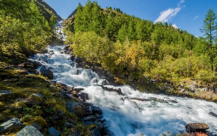 Реки горного алтая фото РЕКИ СИБИРИ - ЯСНА-ЦЕНТР