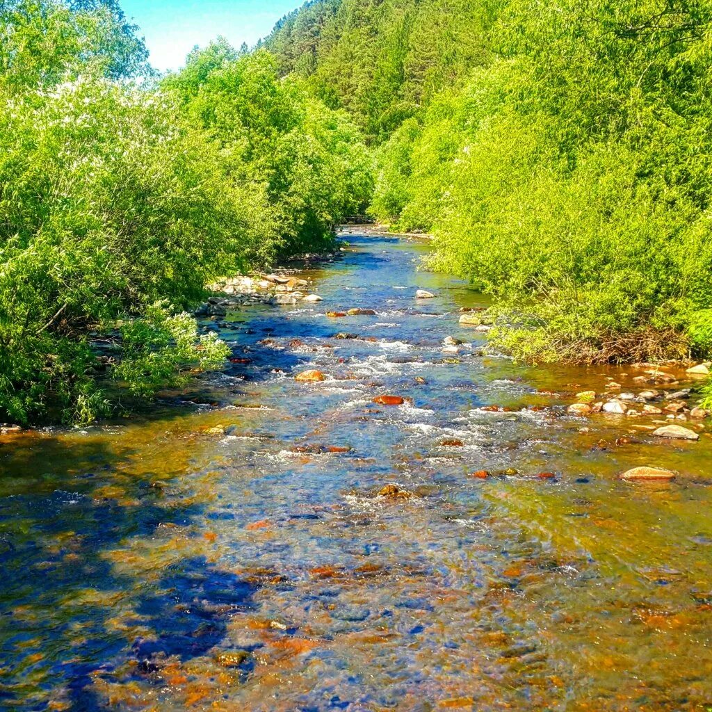 Реки хабаровского края фото Картинки ГОРНЫЕ РЕКИ ХАБАРОВСКОГО