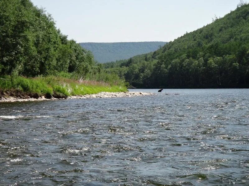 Реки хабаровского края фото Хабаровский край Река Копи - flyfishalex.ru