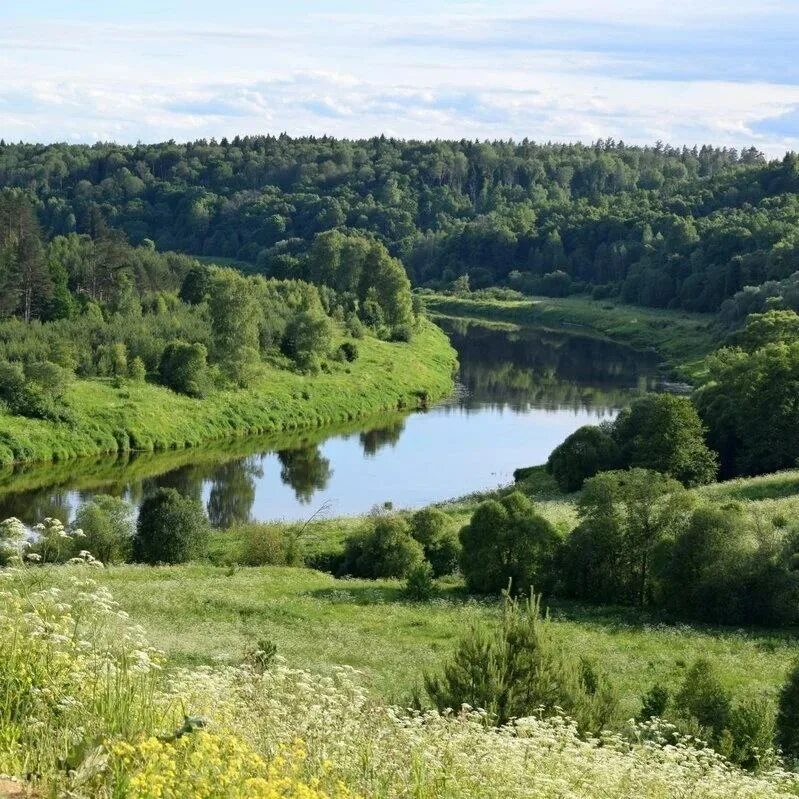 Реки калужской области фото Никола-Ленивец и р. Угра Калужская область