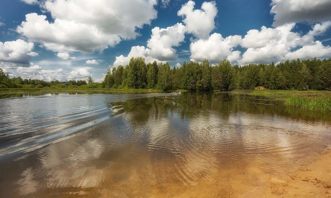 Реки костромской области фото Река, облака / Россия, Костромская область