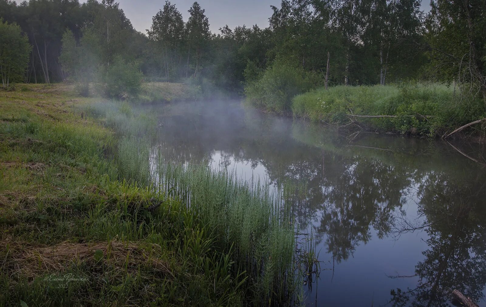 Реки костромской области фото Утро Река Куекша, Щелыково. Photographer Elena Rubinskaya