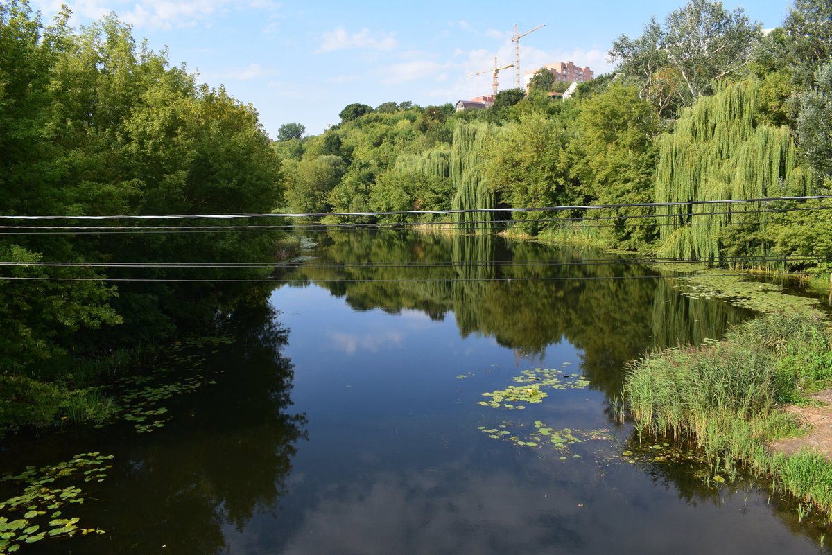 Реки курска фото Курск река тускарь - Фото