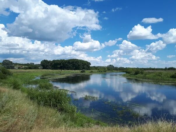 Реки курской области фото Реки курской обл