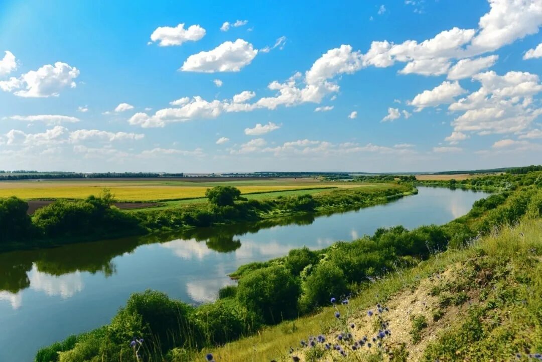 Реки липецкой области фото Реки липецком районе