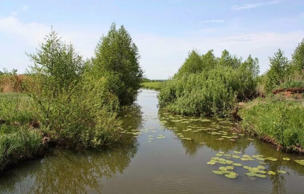 Реки мордовии фото Реки Мордовии: перечень, описание природных условий, фото - Новости, статьи и об