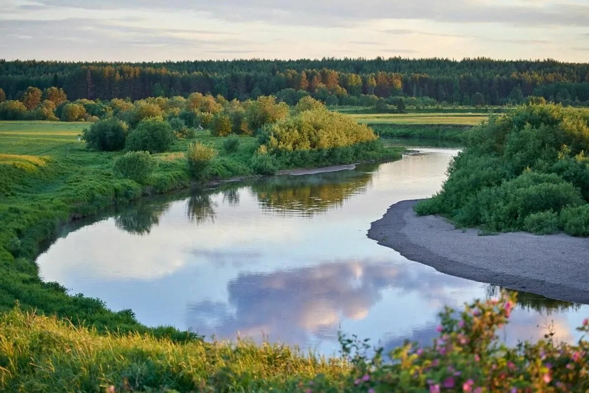 Реки мордовии фото Обзор поэмы В.К. Радаева "Пенза ды Сура" 2022, Саранск - дата и место проведения