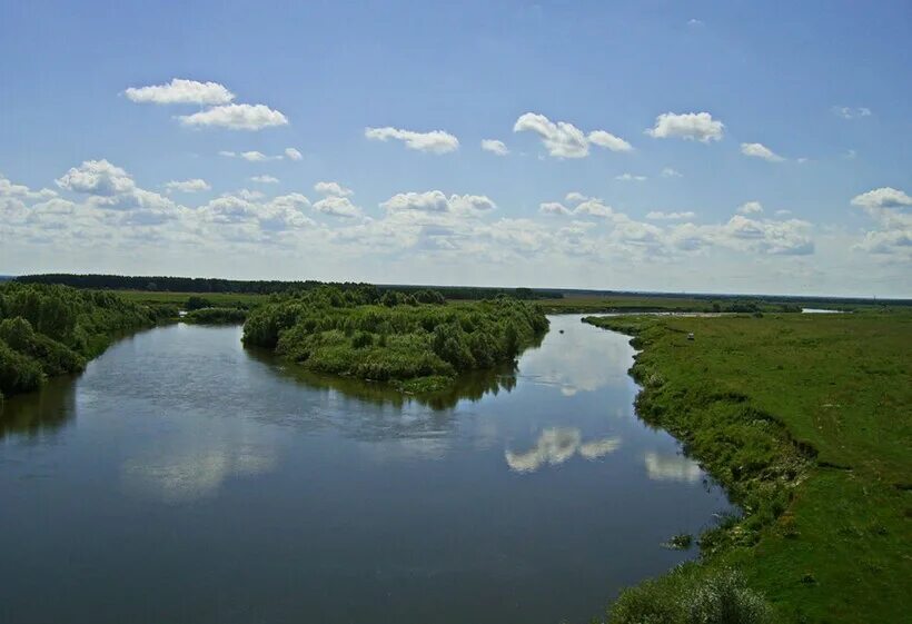 Реки мордовии фото Мокша - главная река Мордовии, протяженность, рыбалка, расположение на карте