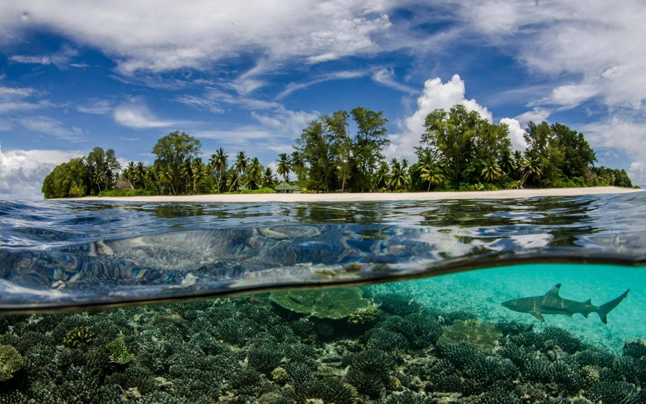 Реки море фото Водный берег