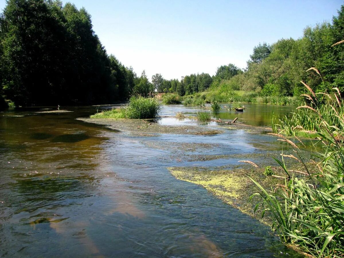 Реки нижегородской области фото Река Узола Марийские Лесоходы