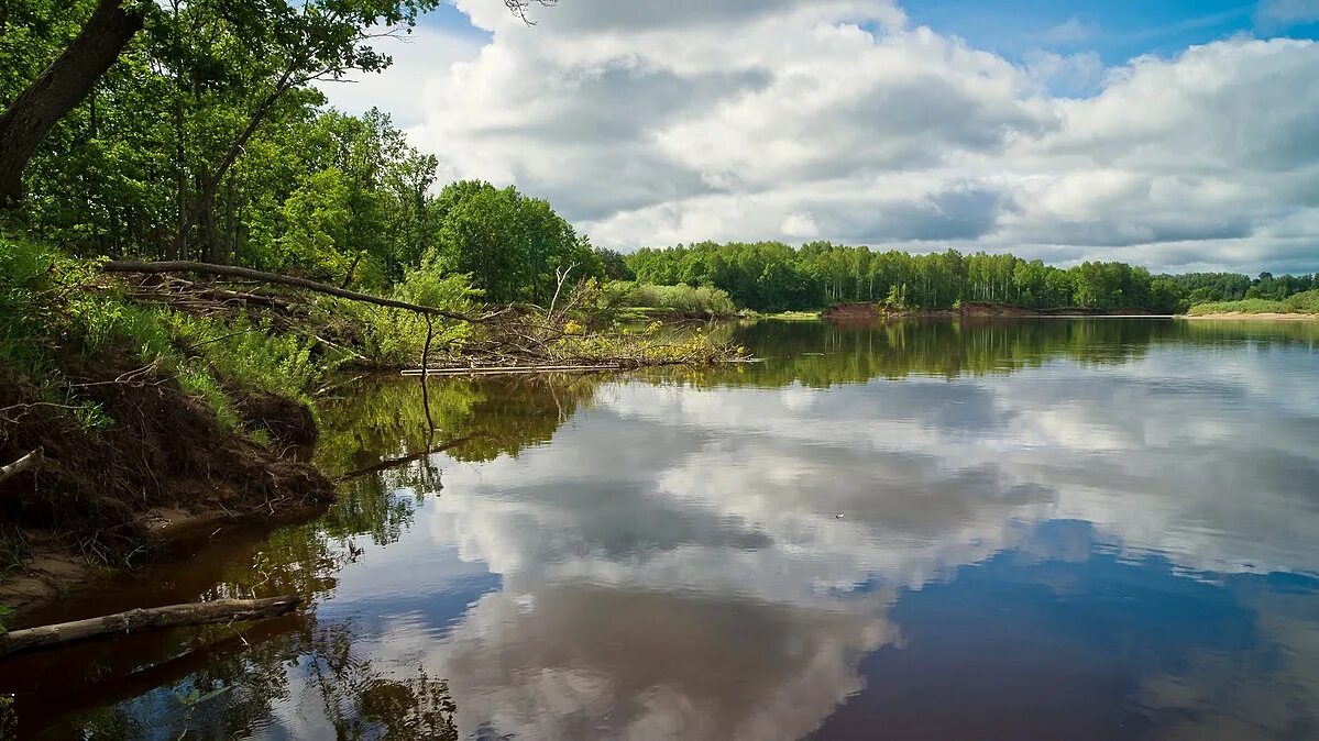 Реки нижегородской области фото File:Ветлуга - panoramio (1).jpg - Wikimedia Commons