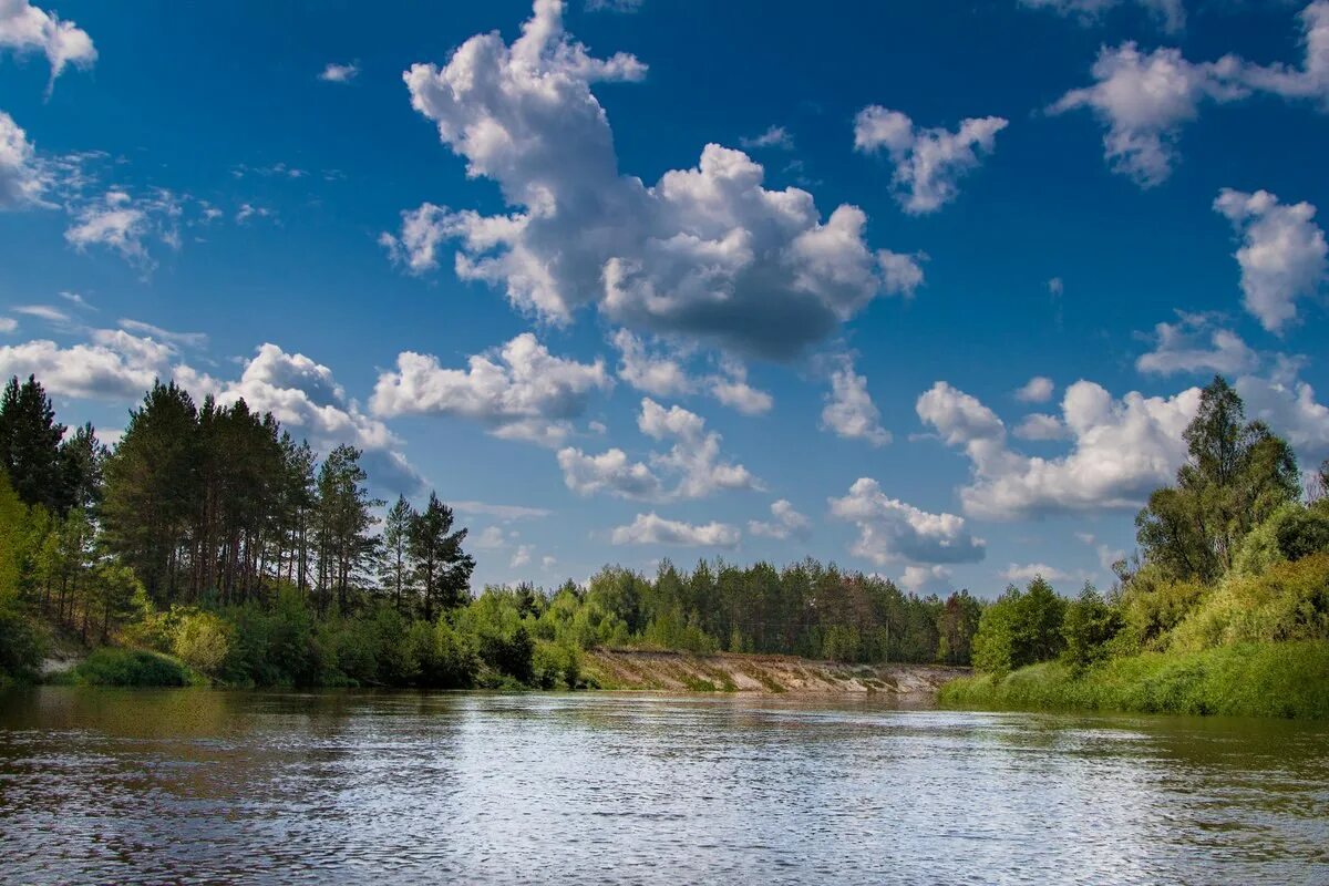 Реки нижегородской области фото Нацпроект "Экология" в Нижегородской области: итоги и планы Новости партнеров на