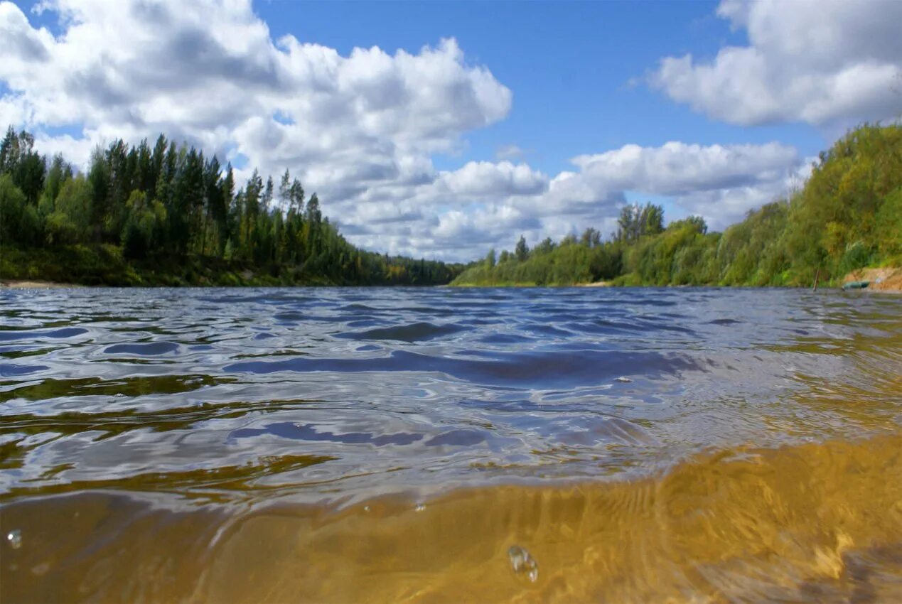 Реки нижегородской области фото Пески и звёзды Ветлуги: Водный поход по спокойной реке - подписаться на оповещен