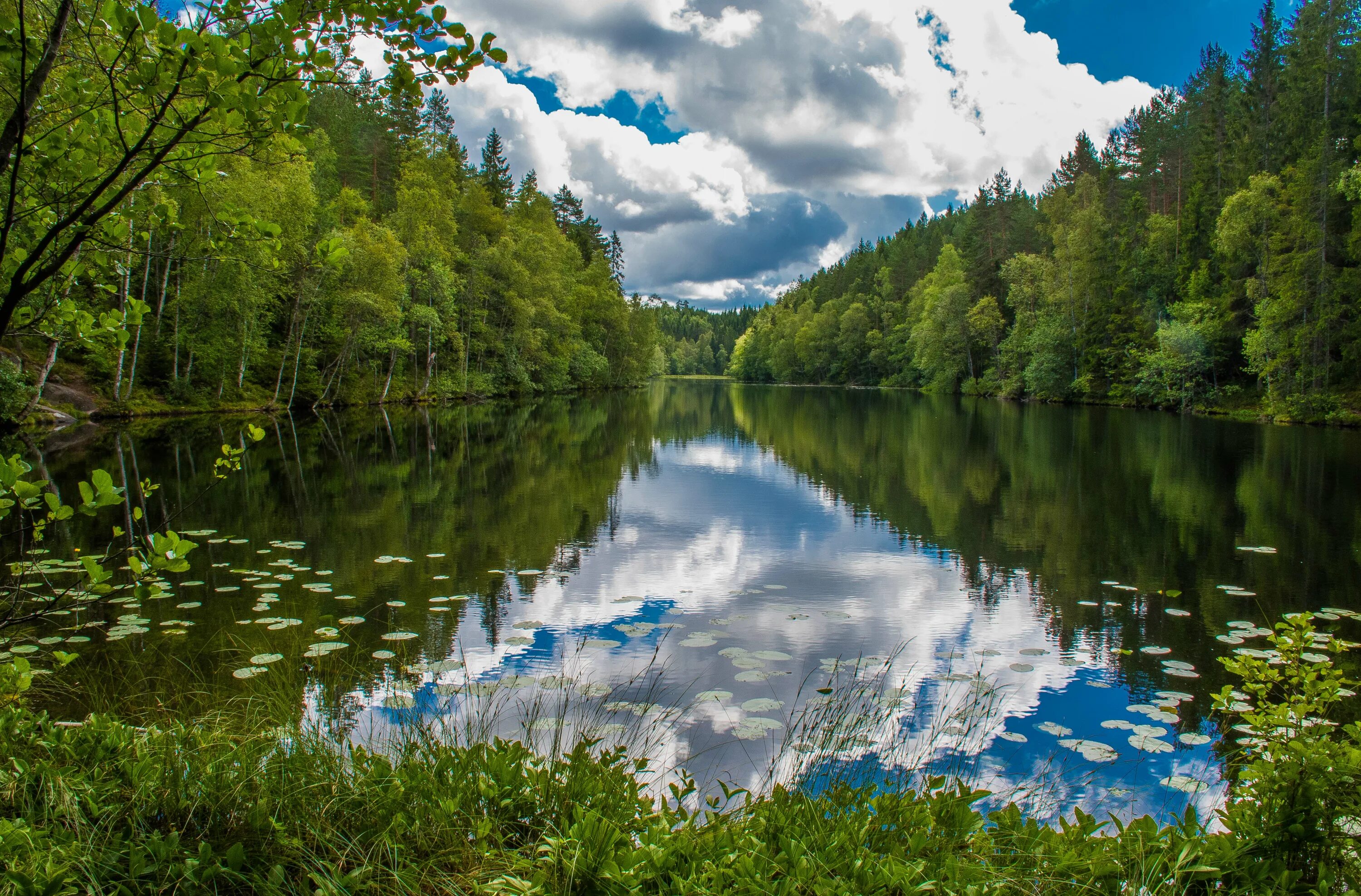 Реки озера фото body of water lake green foliage wallpapers from photomonstr - images from Fonwa