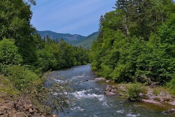 Реки приморского края фото Река приморская