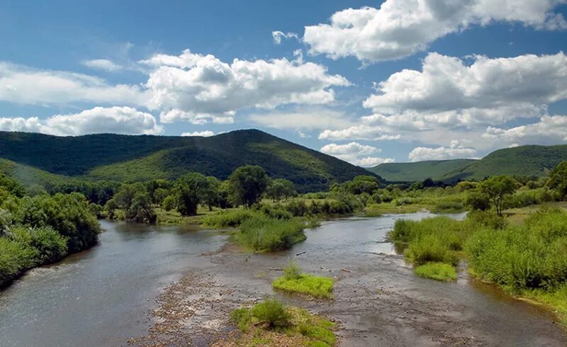 Реки приморского края фото Река Арсеньевка