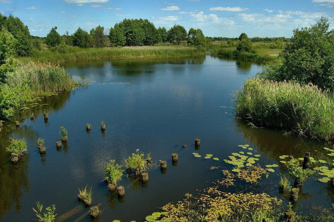 Реки рязанской области фото Родословная Татьяны Анатольевны Тарасовой. 3. Вердеревские Лахесис Дзен