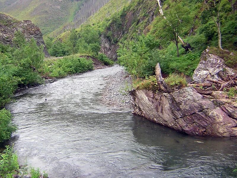 Реки сахалина фото Реки Сахалина Амурский Берег - территория, свободная для творчества