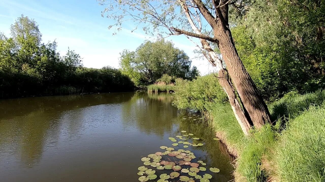 Реки самарской области фото Экскурсия на реку Чапаевка, пробная рыбалка, зарисовки в скетчбуке - YouTube