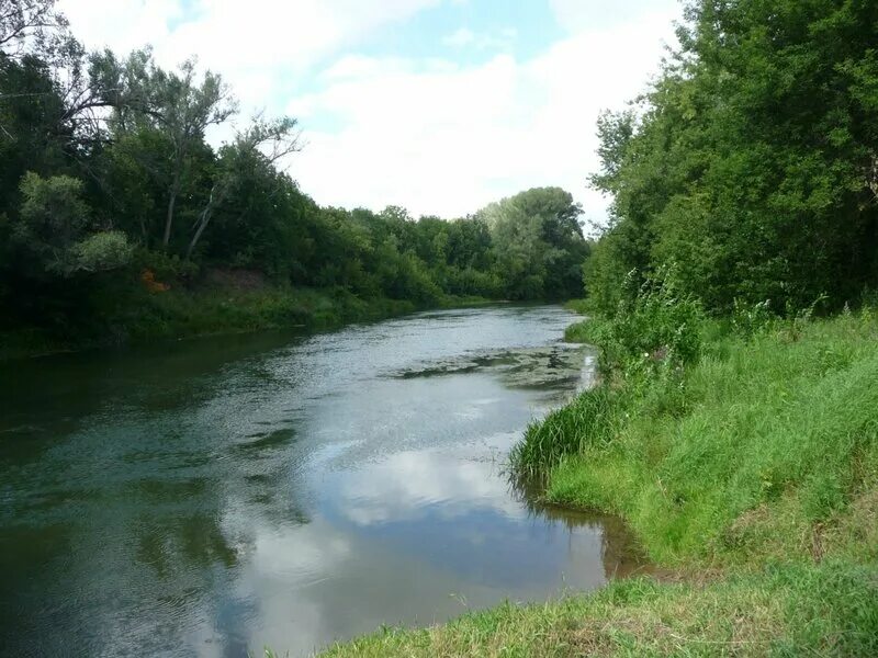 Реки самарской области фото По реке Большой Кинель на лодке "Морской ястреб 2"