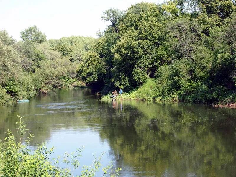 Реки самарской области фото Реки Оренбургской области Марийские Лесоходы