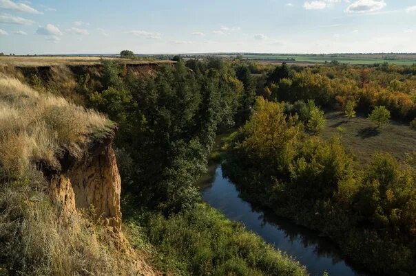 Реки саратовской области фото The Chardym River, Saratov Region. Photo: Igor' Konstantinov 2022 Саратов Life V