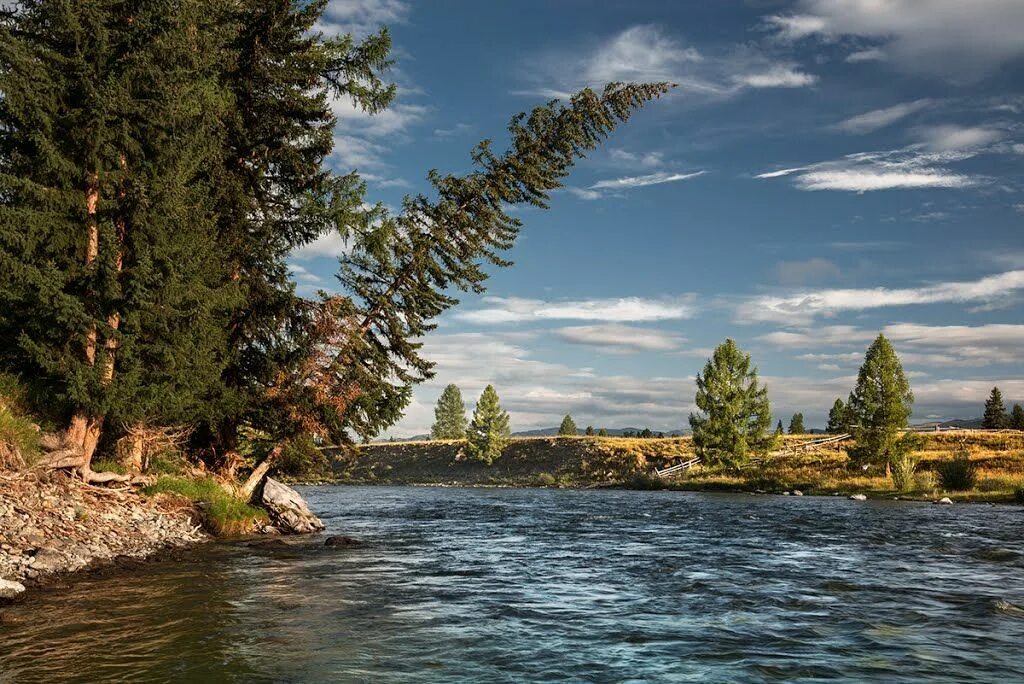 Реки сибири фото Photo of Река Башкаус Natural landmarks, Altai republic, River