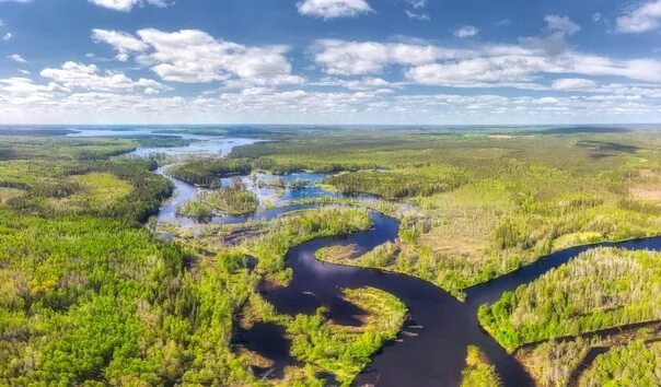 Реки вк фото Вид на реку Белая Холуница, Кировская область, #красотыРоссии 2021 ЗА РОДИНУ! ВК