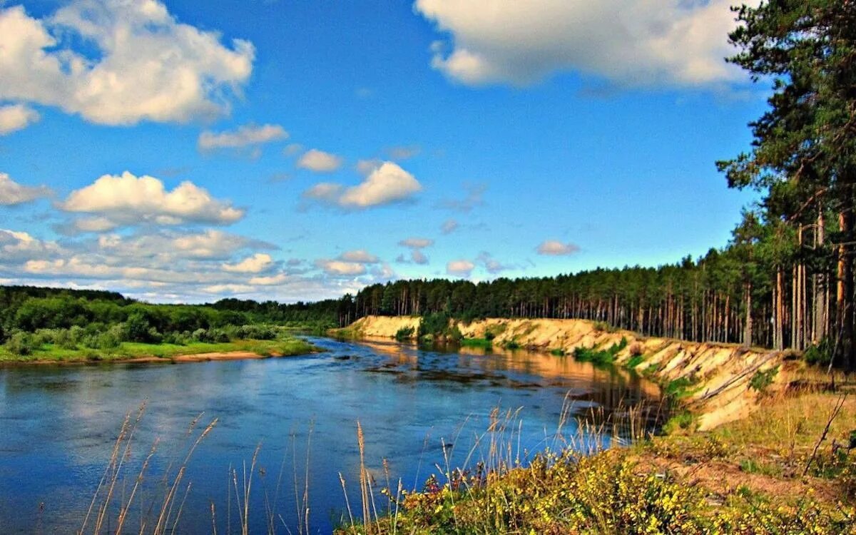 Реки вологодской области фото Названы самые чистые водоемы Вологодчины Новости Вологодской области