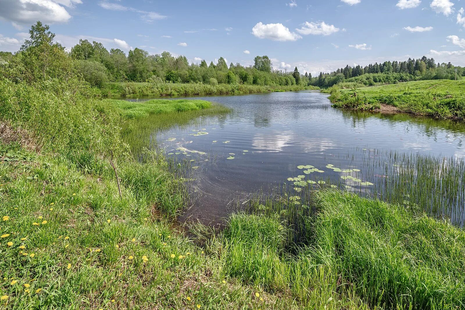 Реки ярославской области фото Файл:Sot River Below The Confluence With Lunka.jpg - Википедия