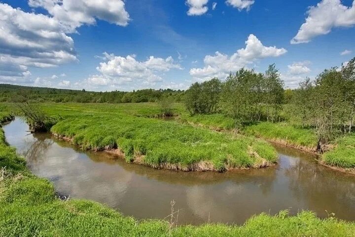 Реки ярославской области фото В Ярославской области собираются расчистить реку Сара - МК Ярославль